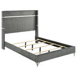 Lucia 61-inch Upholstered Wingback Bed Grey