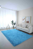 MEILIN-S SHAGGY Rug