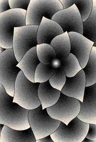 PREMIUM Rug Design 11301