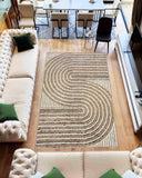 5D SHAGGY Rug Design 6421