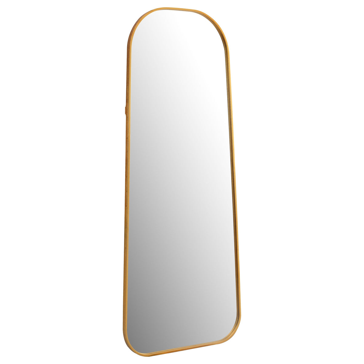Simeon 20 x 52 Inch  Length Floor Mirror Antique Gold