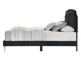 Zeena EK Bed
