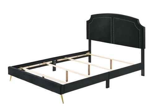 Zeena EK Bed