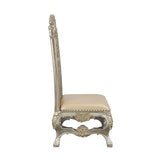 Danae Side Chair (Set-2)